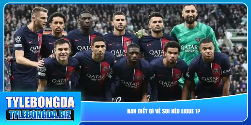 Bạn biết gì về soi kèo Ligue 1?