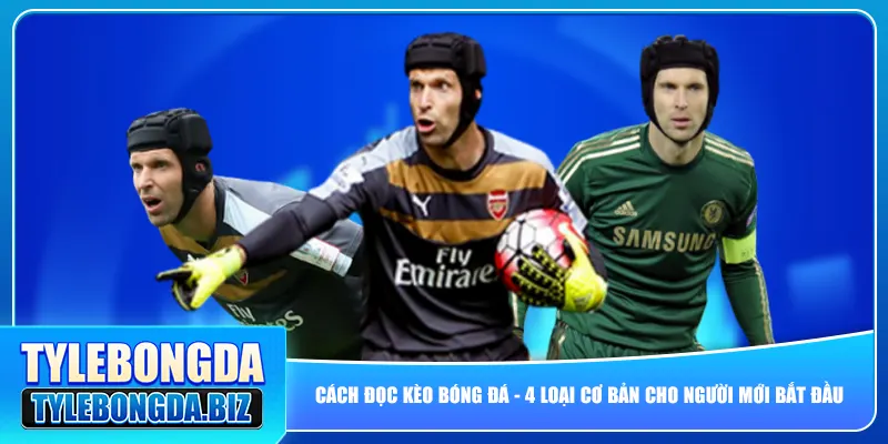 Cách Đọc Kèo Bóng Đá – 4 Loại Cơ Bản Cho Người Mới Bắt Đầu