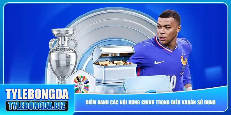 Điểm danh các nội dung chính trong điều khoản sử dụng