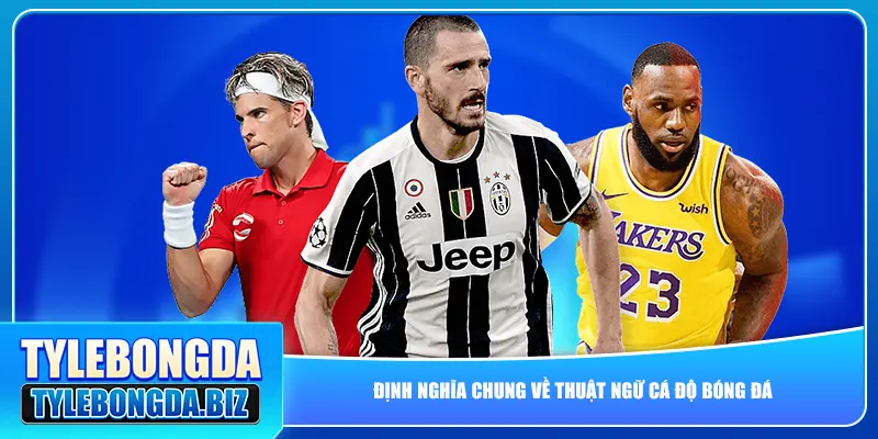 Định nghĩa chung về thuật ngữ cá độ bóng đá
