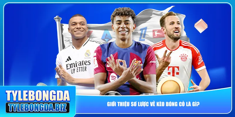Giới thiệu sơ lược về kèo bóng cỏ là gì?
