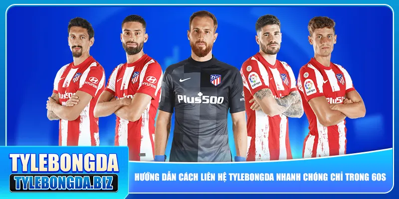 Hướng dẫn cách liên hệ tylebongda nhanh chóng chỉ trong 60s