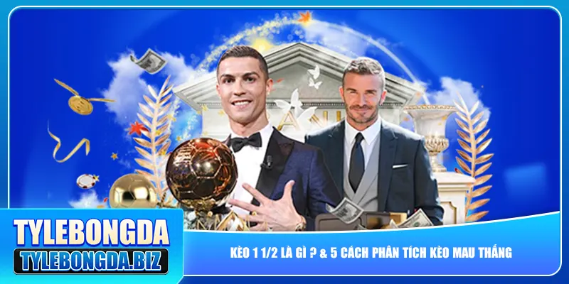 kèo 1 1/2 là gì ? & 5 cách phân tích kèo mau thắng