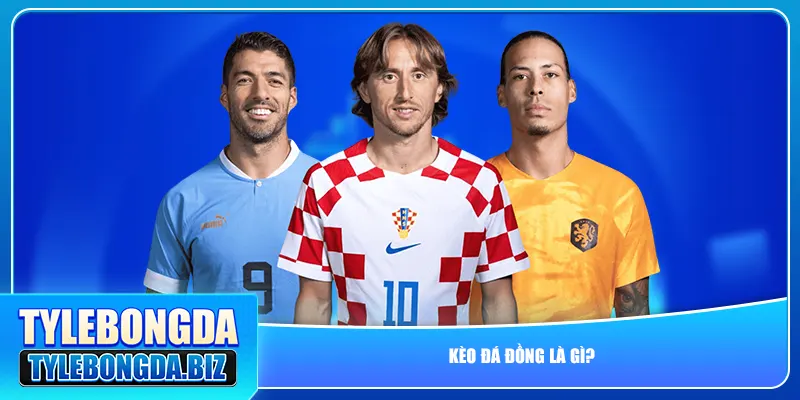 Kèo đá đồng là gì?