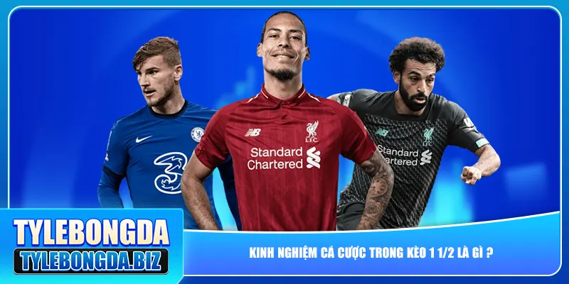 Kinh nghiệm cá cược trong kèo 1 1/2 là gì ?