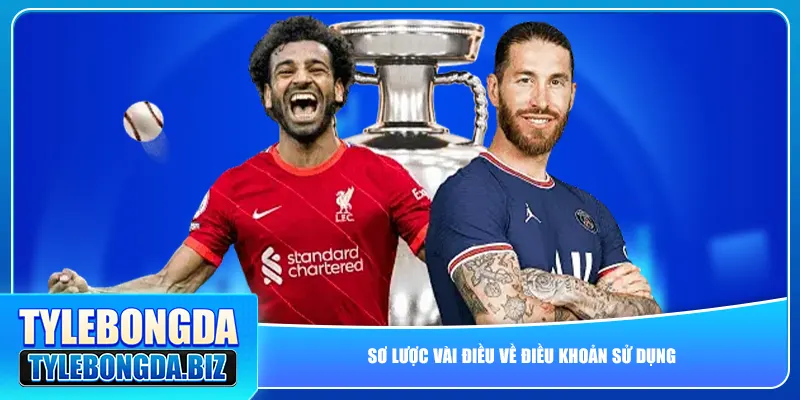 Sơ lược vài điều về điều khoản sử dụng