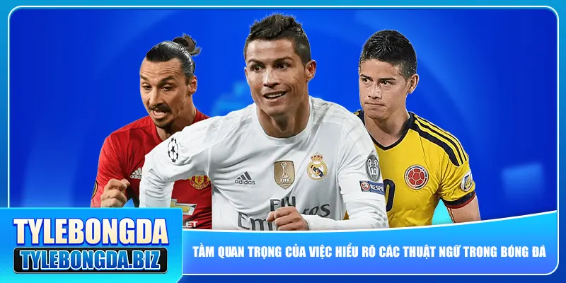 Tầm quan trọng của việc hiểu rõ các thuật ngữ trong bóng đá