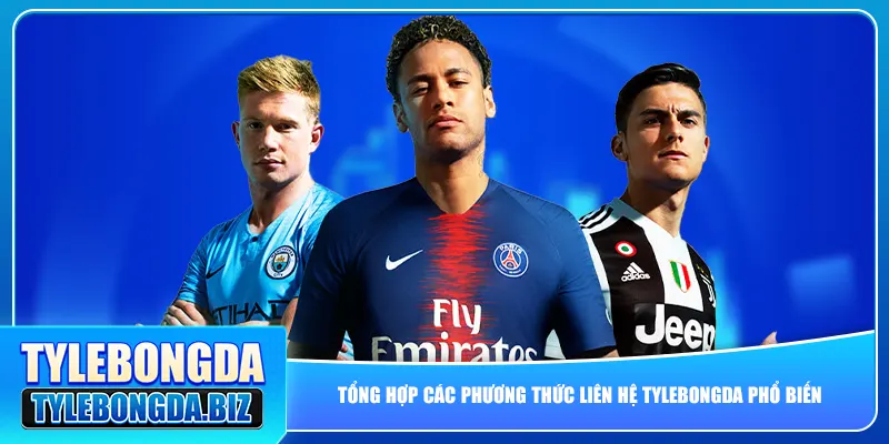 Tổng hợp các phương thức liên hệ tylebongda phổ biến