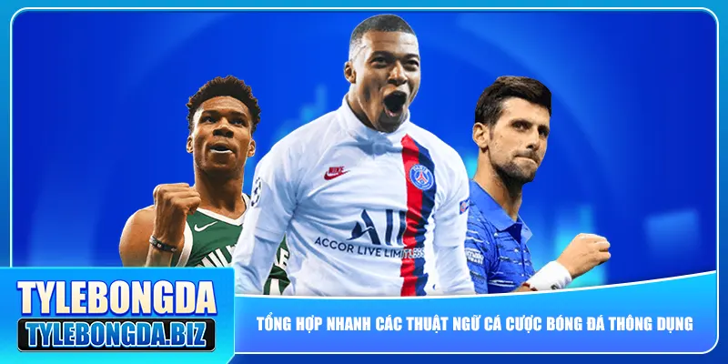 Tổng hợp nhanh các thuật ngữ cá cược bóng đá thông dụng