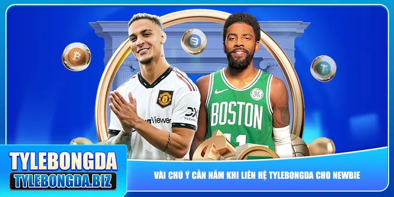 Vài chú ý cần nắm khi liên hệ tylebongda cho newbie