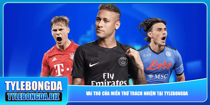 Vai trò của miễn trừ trách nhiệm tại tylebongda
